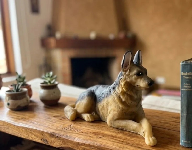 Pastor Alemán — Animales